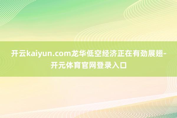 开云kaiyun.com龙华低空经济正在有劲展翅-开元体育官网登录入口