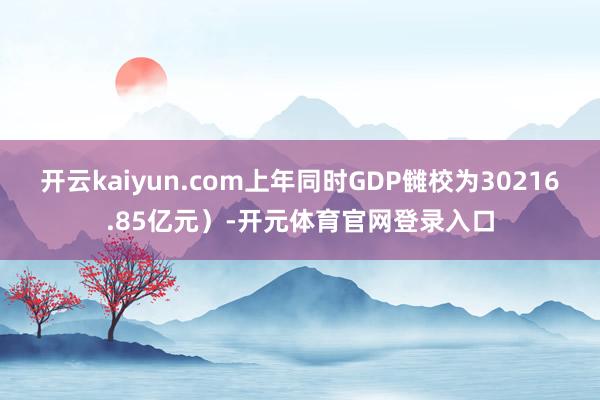 开云kaiyun.com上年同时GDP雠校为30216.85亿元）-开元体育官网登录入口