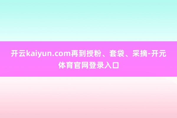 开云kaiyun.com再到授粉、套袋、采摘-开元体育官网登录入口