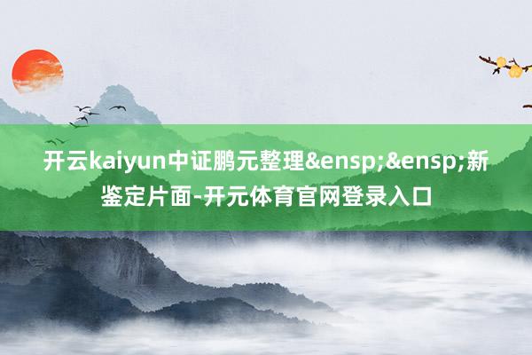 开云kaiyun中证鹏元整理&ensp;&ensp;新鉴定片面-开元体育官网登录入口