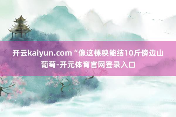 开云kaiyun.com“像这棵秧能结10斤傍边山葡萄-开元体育官网登录入口