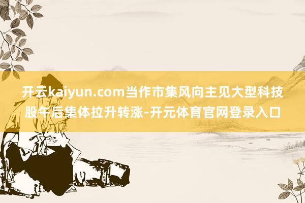 开云kaiyun.com当作市集风向主见大型科技股午后集体拉升转涨-开元体育官网登录入口