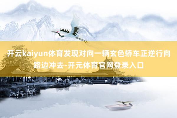 开云kaiyun体育发现对向一辆玄色轿车正逆行向路边冲去-开元体育官网登录入口