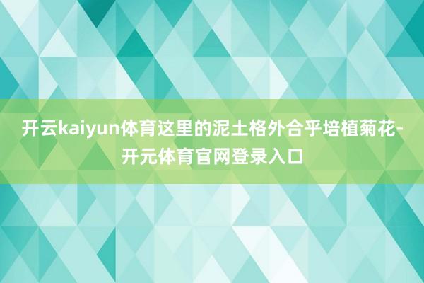 开云kaiyun体育这里的泥土格外合乎培植菊花-开元体育官网登录入口